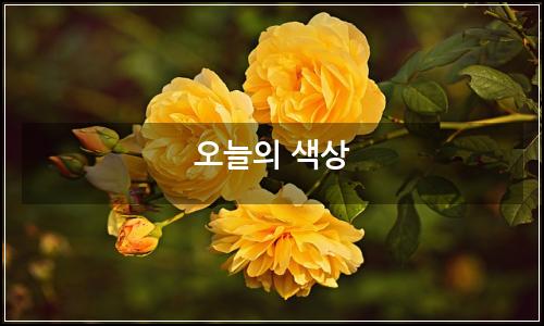오늘의 이미지