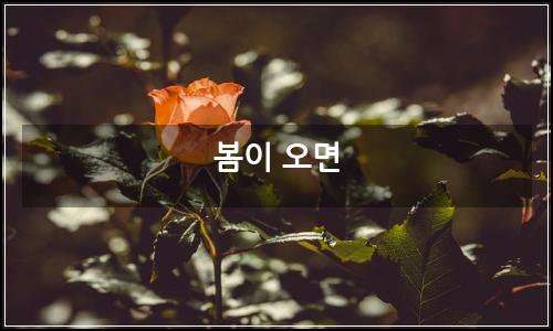 오늘의 이미지