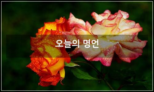 오늘의 이미지