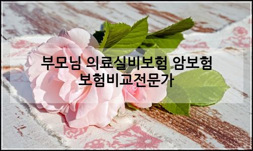 오늘의 이미지