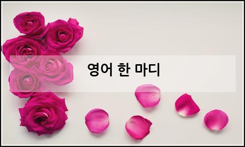 오늘의 이미지