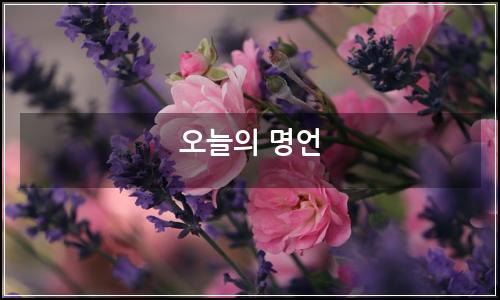오늘의 이미지