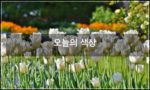 오늘의 이미지