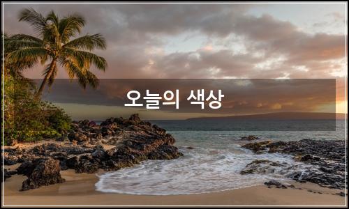 오늘의 이미지