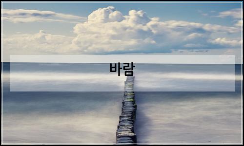 오늘의 이미지
