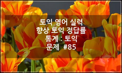 오늘의 이미지