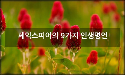 오늘의 이미지