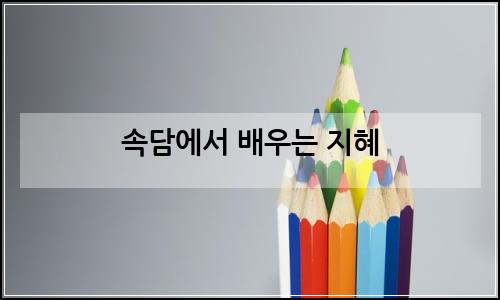 오늘의 이미지