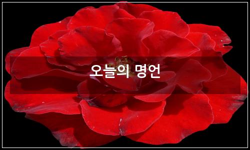 오늘의 이미지