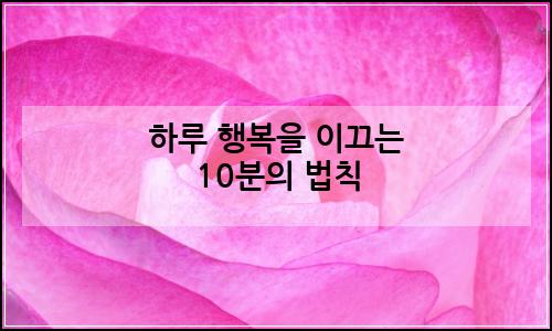 오늘의 이미지