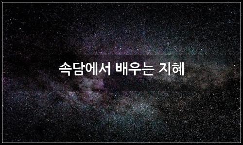 오늘의 이미지
