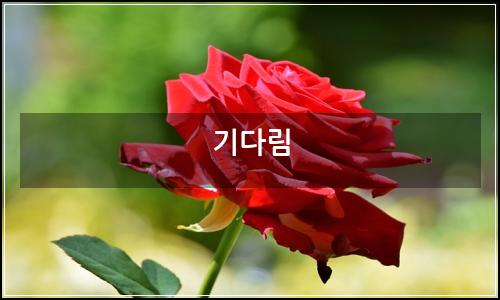 오늘의 이미지