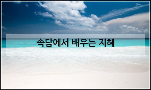 오늘의 이미지