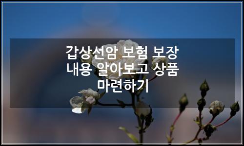 오늘의 이미지