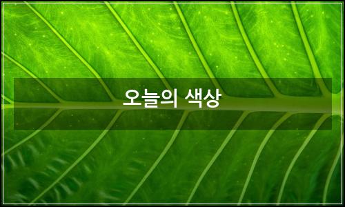 오늘의 이미지