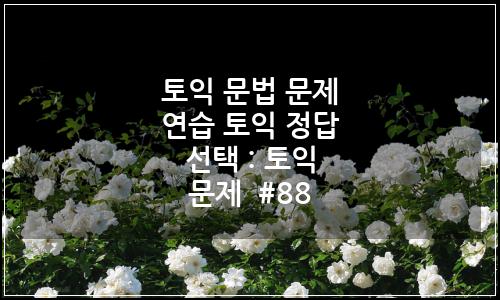 오늘의 이미지