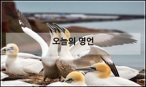 오늘의 이미지