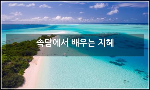 오늘의 이미지