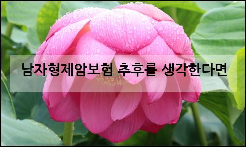 오늘의 이미지