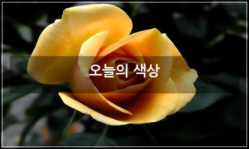 오늘의 이미지