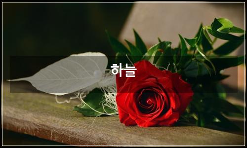 오늘의 이미지