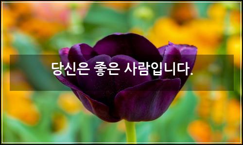 오늘의 이미지