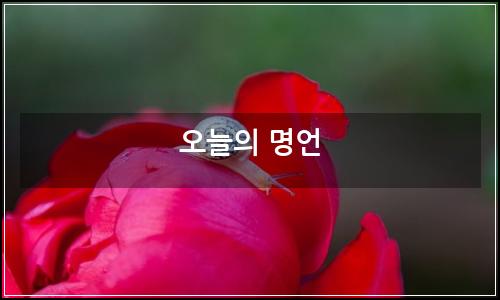 오늘의 이미지