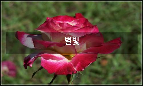 오늘의 이미지