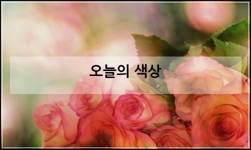 오늘의 이미지
