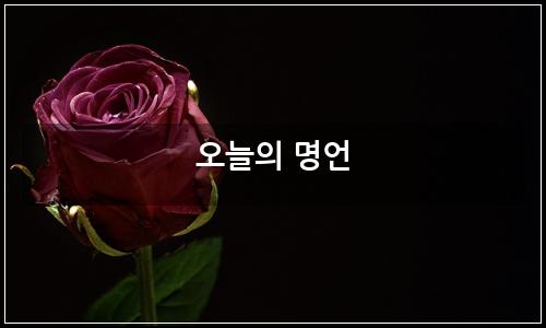오늘의 이미지