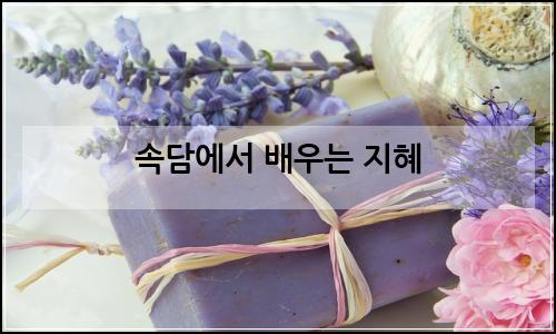 오늘의 이미지