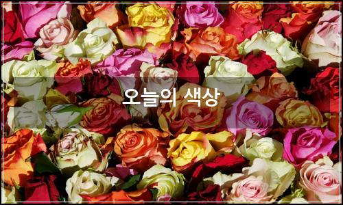 오늘의 이미지