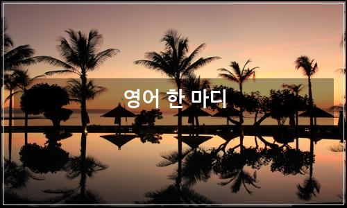 오늘의 이미지