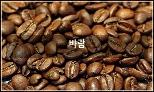 오늘의 이미지