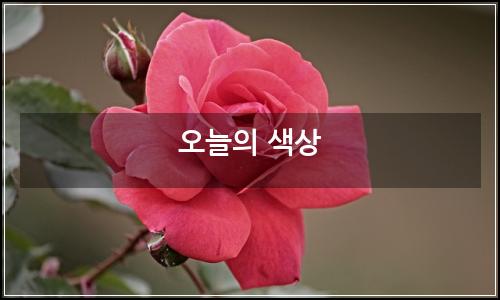 오늘의 이미지