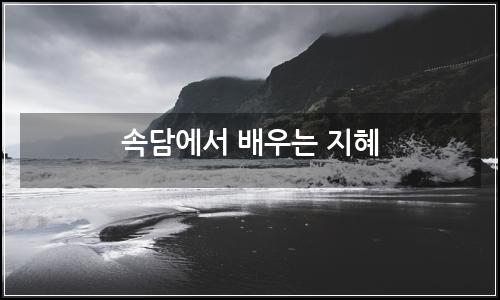 오늘의 이미지
