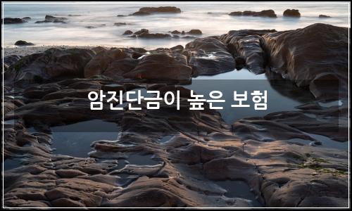 오늘의 이미지