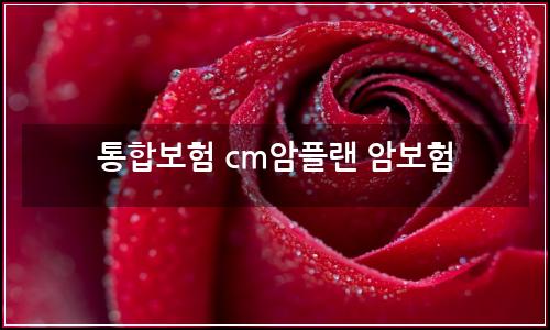 오늘의 이미지
