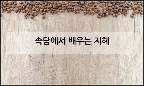 오늘의 이미지