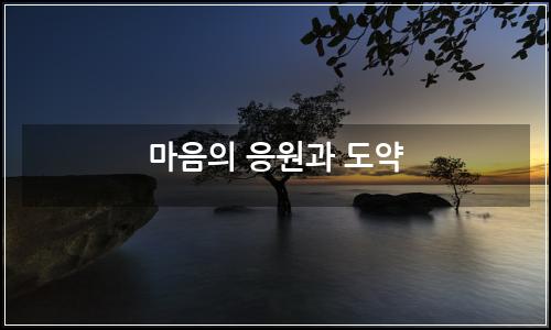 오늘의 이미지