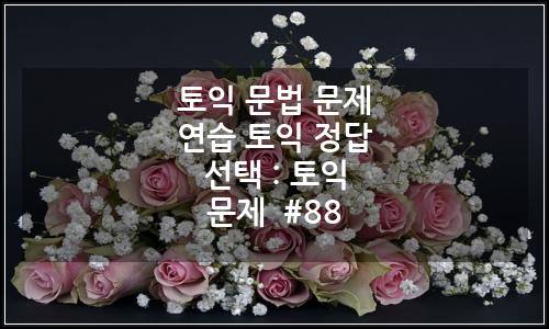 오늘의 이미지
