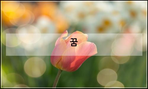 오늘의 이미지