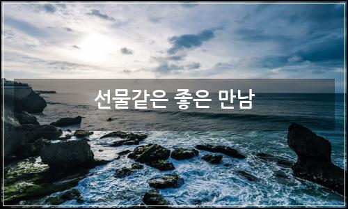 오늘의 이미지