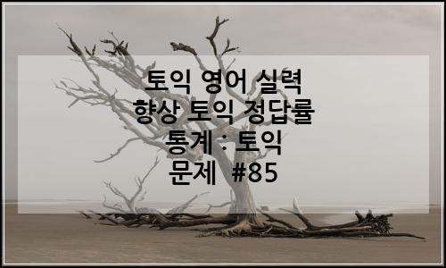 오늘의 이미지