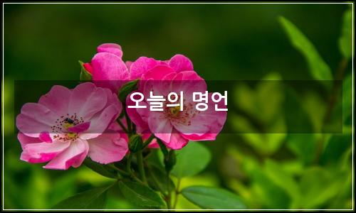 오늘의 이미지