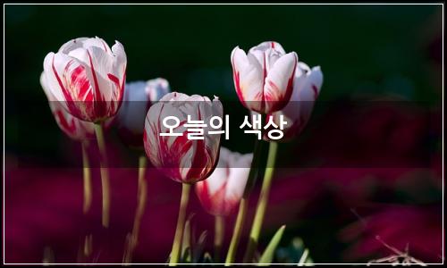 오늘의 이미지