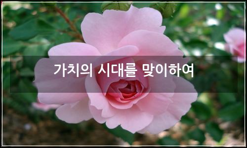 오늘의 이미지