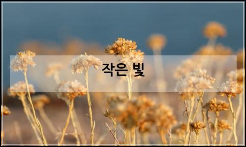 오늘의 이미지