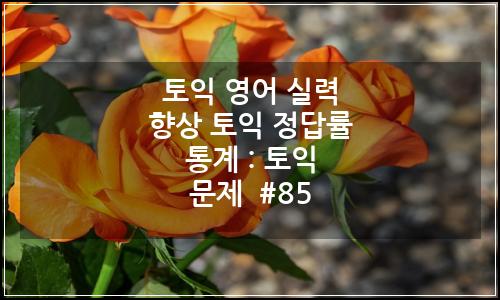 오늘의 이미지