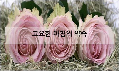 오늘의 이미지